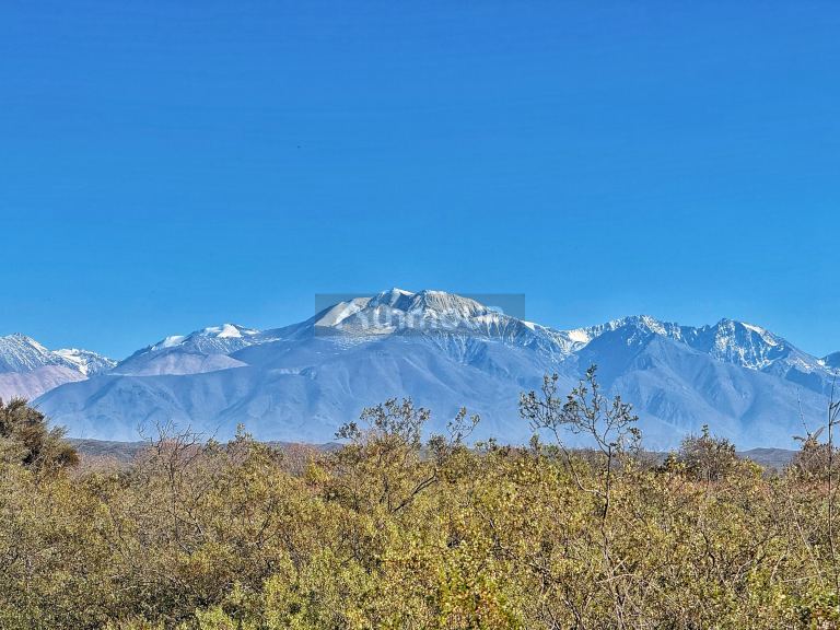Campo en Venta en Lujan de Cuyo, Mendoza