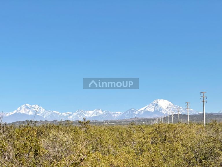 Campo en Venta en Lujan de Cuyo, Mendoza