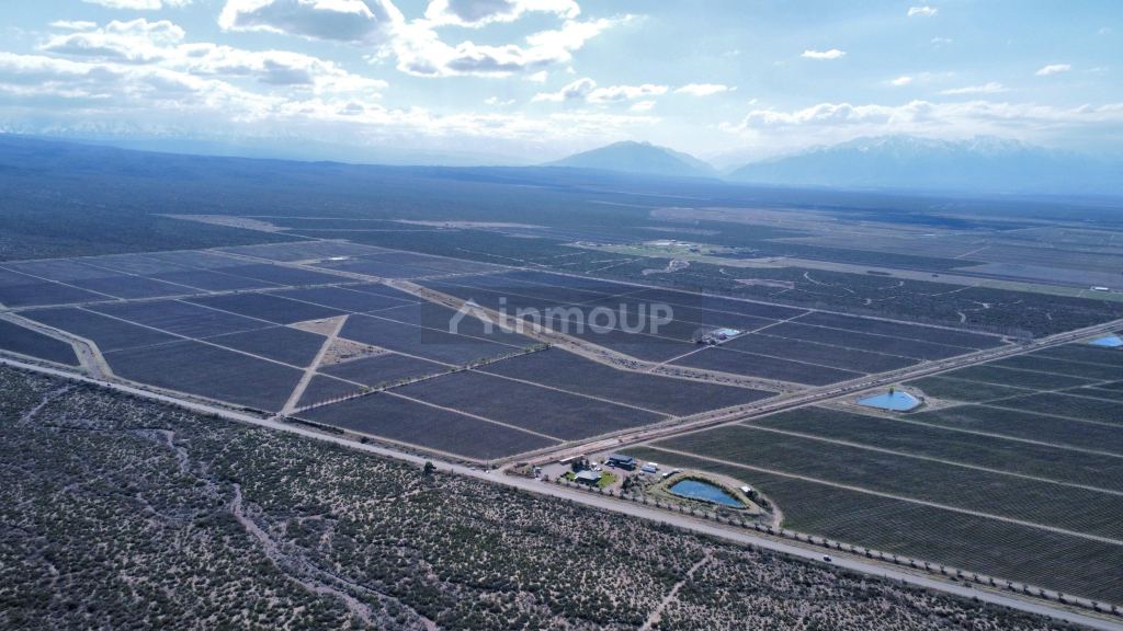 Campo en Venta en Lujan de Cuyo, Mendoza