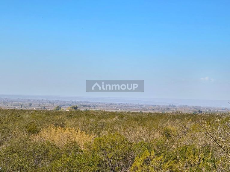Campo en Venta en Lujan de Cuyo, Mendoza