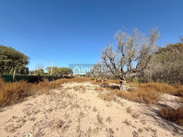 Lote en Venta en Lujan de Cuyo, Mendoza