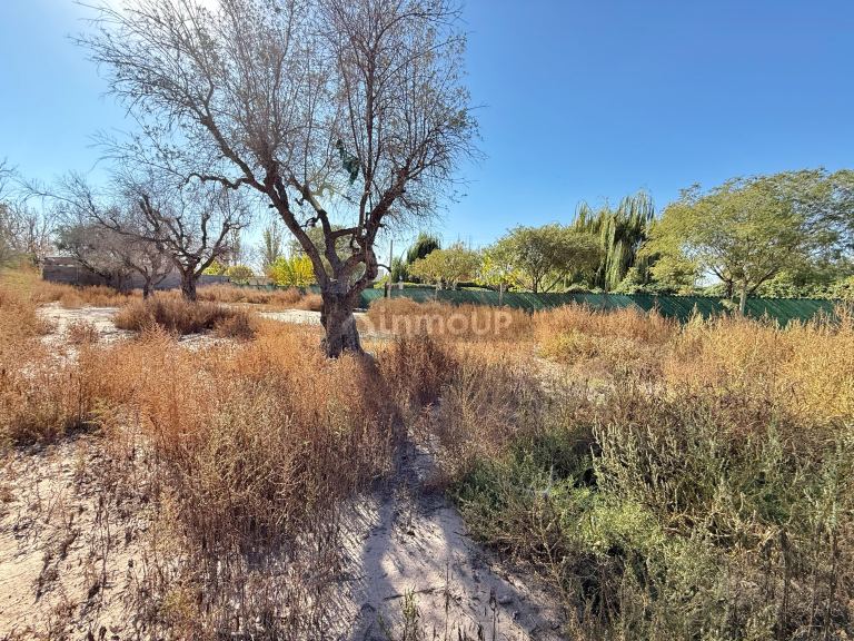Lote en Venta en Lujan de Cuyo, Mendoza