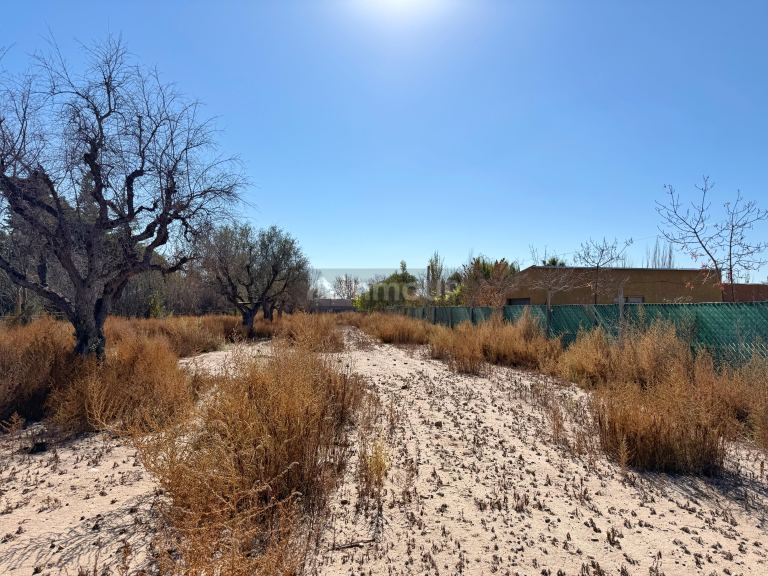 Lote en Venta en Lujan de Cuyo, Mendoza