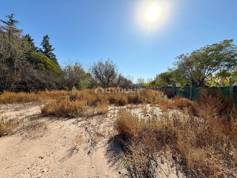 Lote en Venta en Lujan de Cuyo, Mendoza