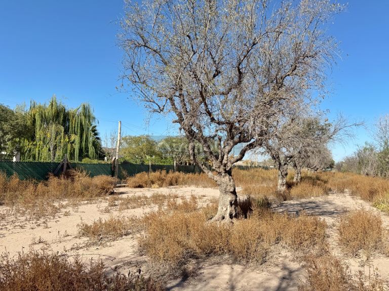 Lote en Venta en Lujan de Cuyo, Mendoza