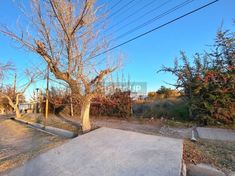 Lote en Alquiler en Lujan de Cuyo, Mendoza