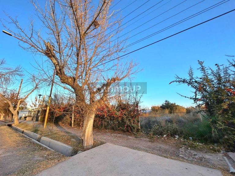Lote en Alquiler en Lujan de Cuyo, Mendoza