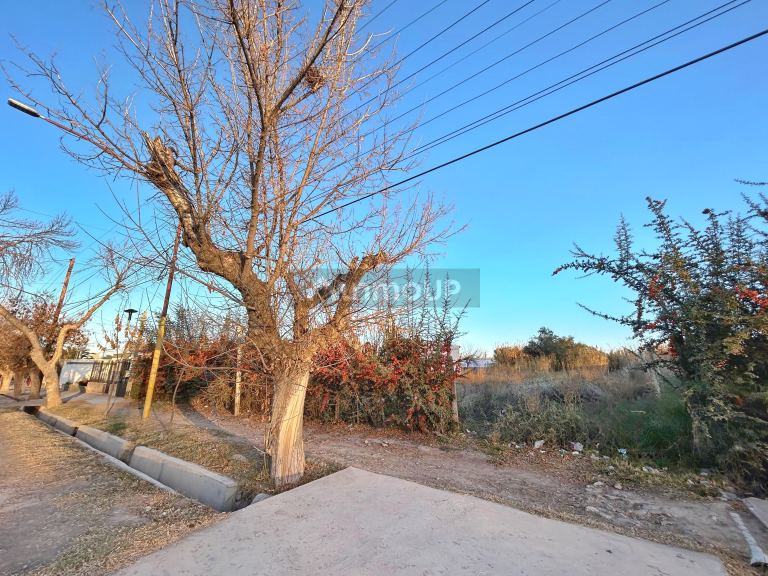 Lote en Alquiler en Lujan de Cuyo, Mendoza