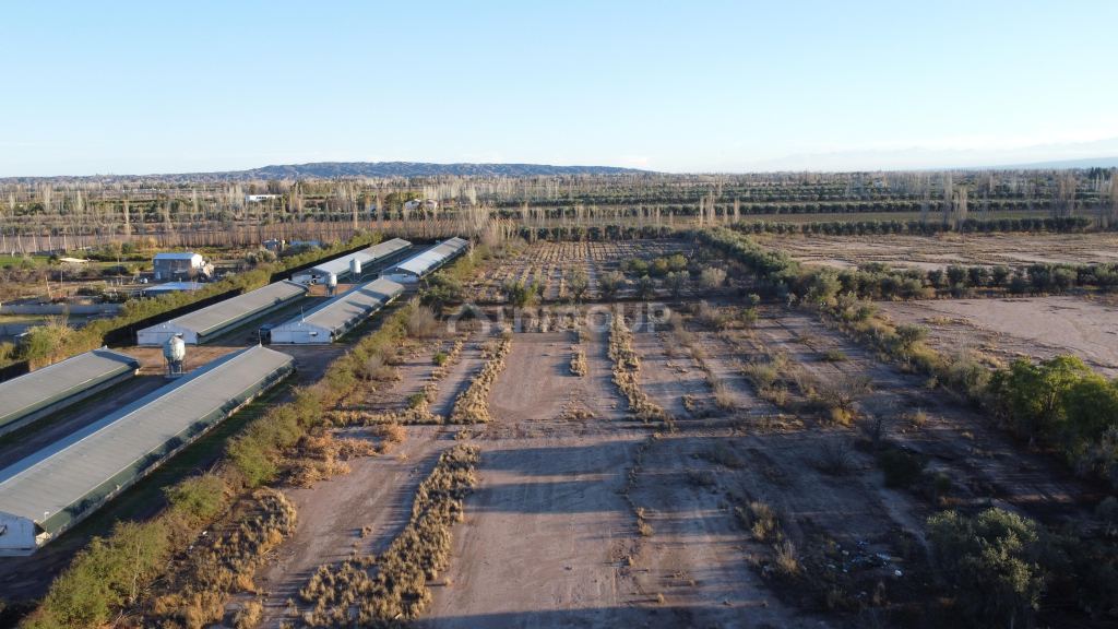 Lote en Venta en Maipu, Mendoza
