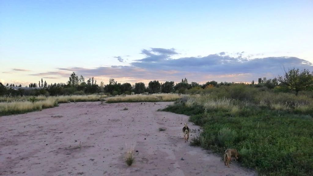 Lote en Venta en Maipu, Mendoza