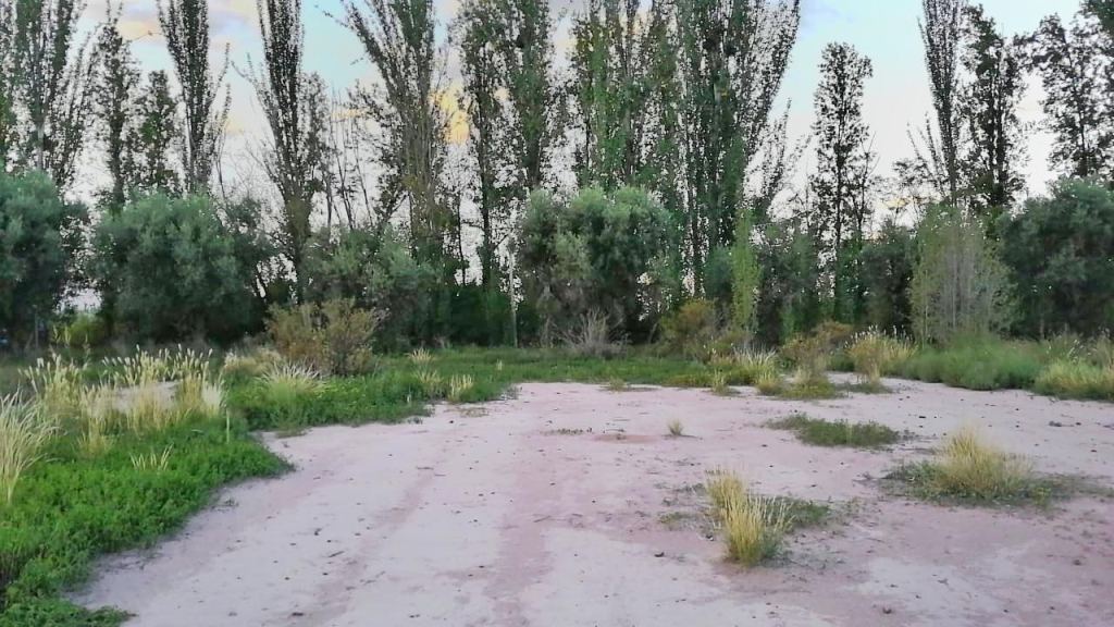 Lote en Venta en Maipu, Mendoza