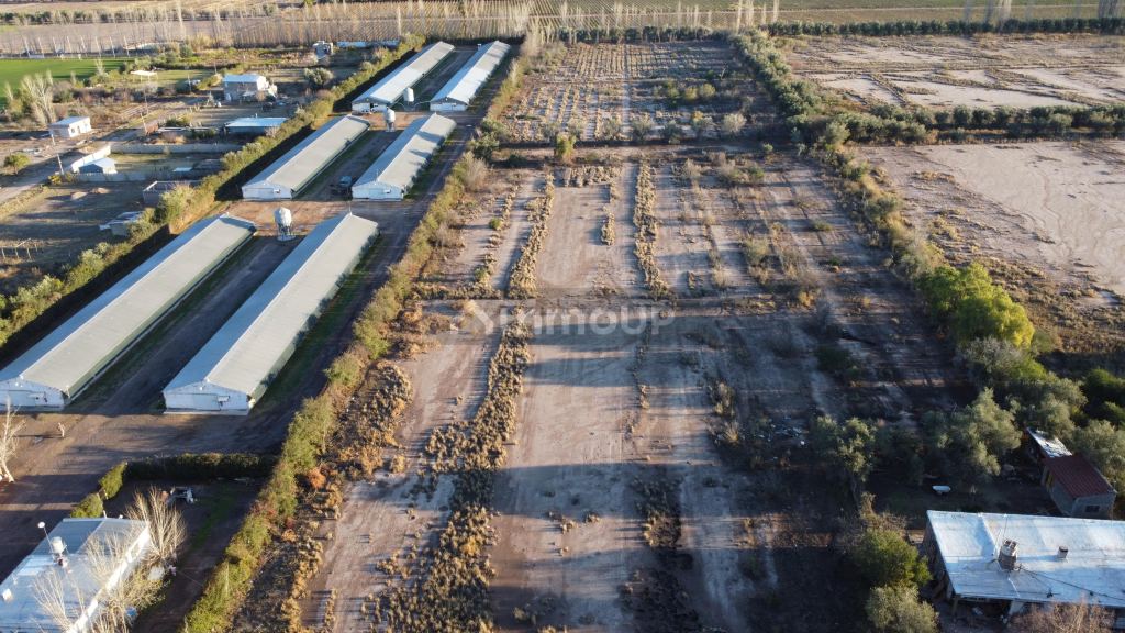 Lote en Venta en Maipu, Mendoza