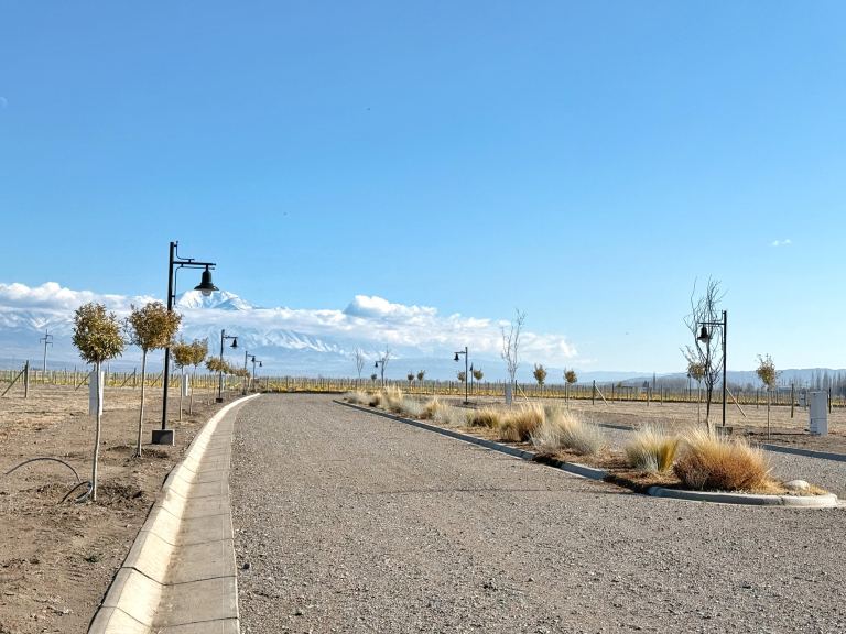 Lote en Venta en Tupungato, Mendoza