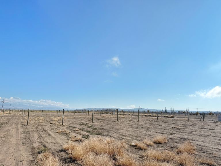 Lote en Venta en Tupungato, Mendoza