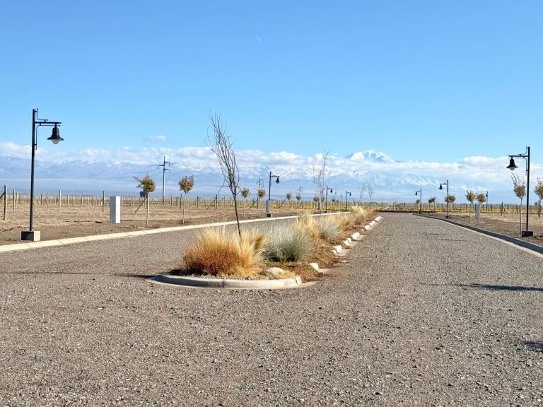Lote en Venta en Tupungato, Mendoza