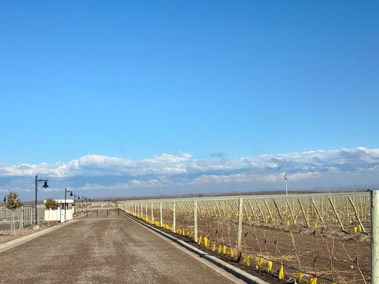 Lote en Venta en Tupungato, Mendoza