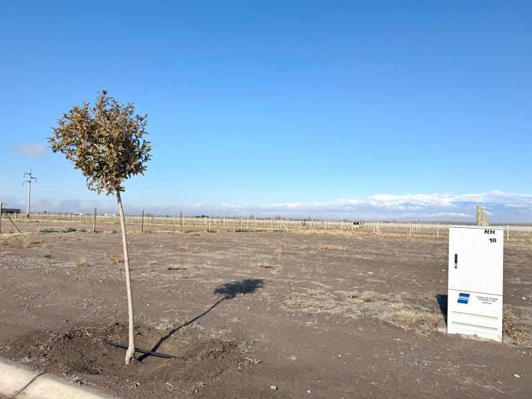 Lote en Venta en Tupungato, Mendoza