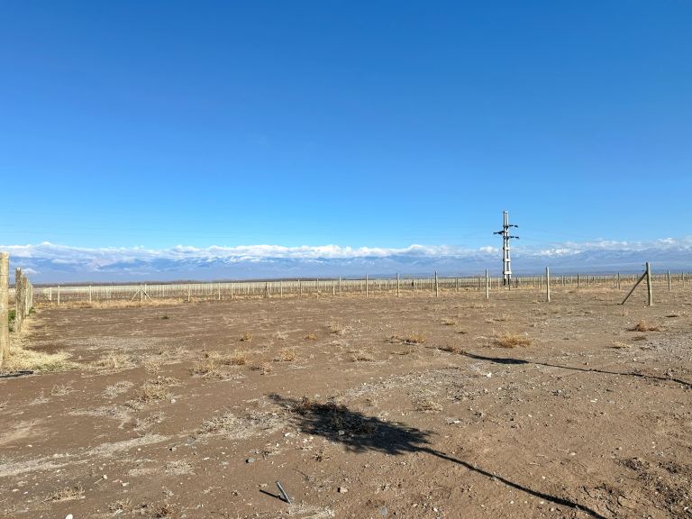 Lote en Venta en Tupungato, Mendoza