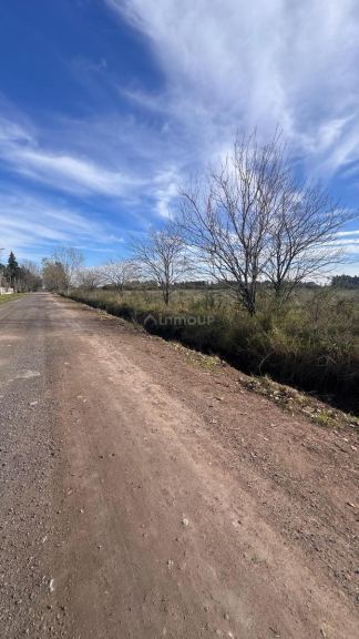 Terreno en Venta en Rosario, Santa Fe - USD 80.000 | Inmoup - 5