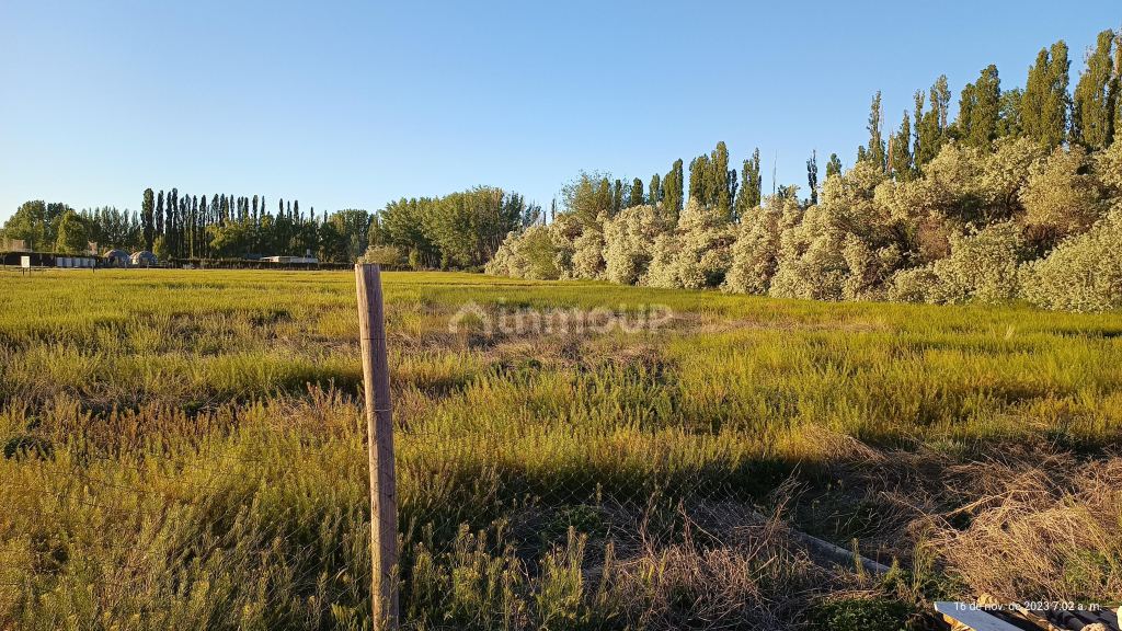 Lote en Venta en Malargue, Mendoza