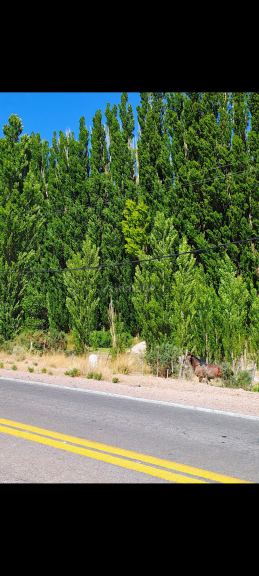 Lote en Venta en Las Heras, Mendoza