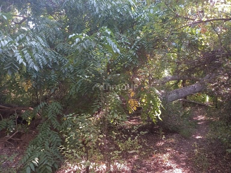 Terreno en Venta en Lujan de Cuyo, Mendoza