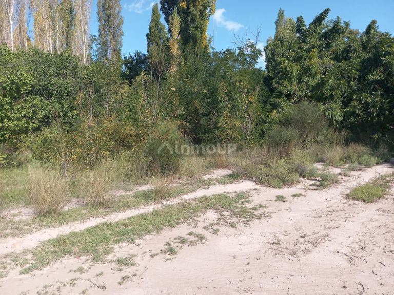 Terreno en Venta en Lujan de Cuyo, Mendoza