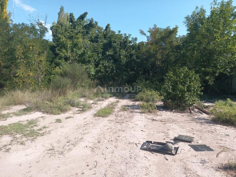 Terreno en Venta en Lujan de Cuyo, Mendoza