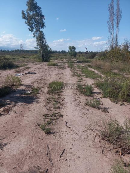 Terreno en Venta en Lujan de Cuyo, Mendoza