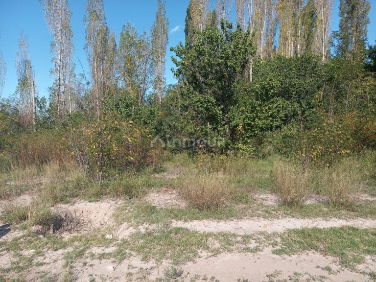 Terreno en Venta en Lujan de Cuyo, Mendoza