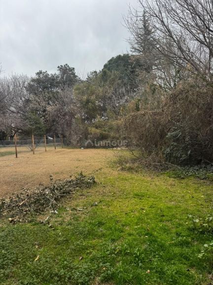 Terreno en Venta en Lujan de Cuyo, Mendoza