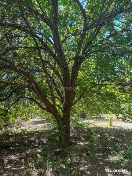 Lote en Venta en Maipu, Mendoza