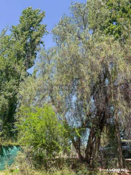 Lote en Venta en Maipu, Mendoza