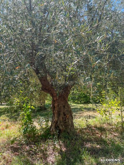 Lote en Venta en Maipu, Mendoza