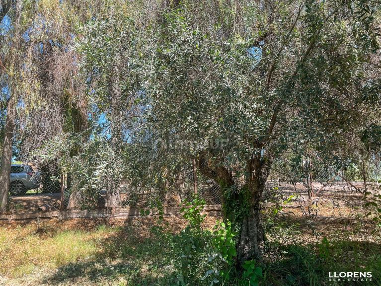 Lote en Venta en Maipu, Mendoza