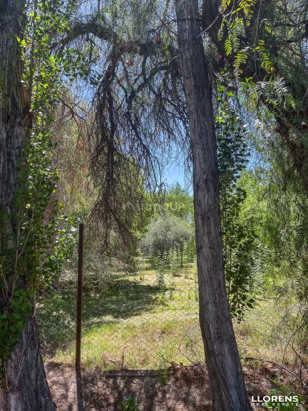 Lote en Venta en Maipu, Mendoza