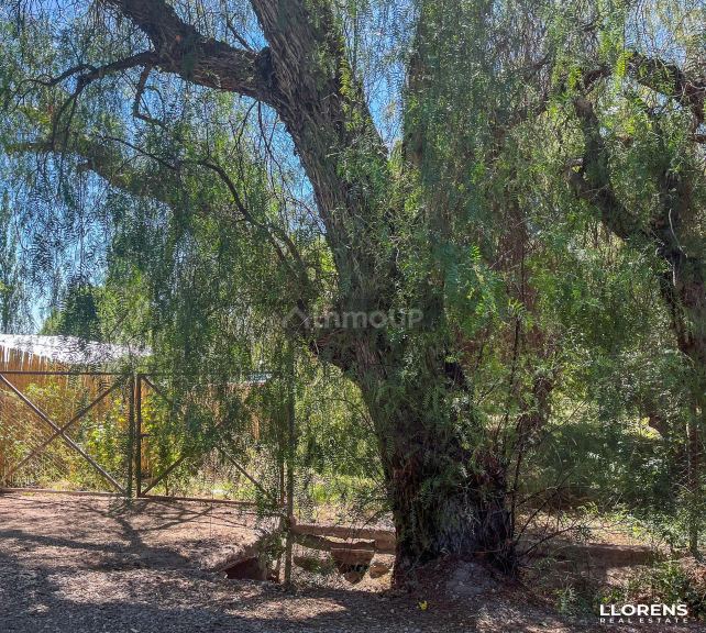 Lote en Venta en Maipu, Mendoza