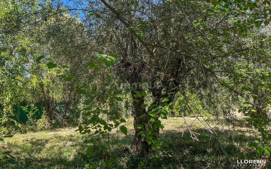 Lote en Venta en Maipu, Mendoza