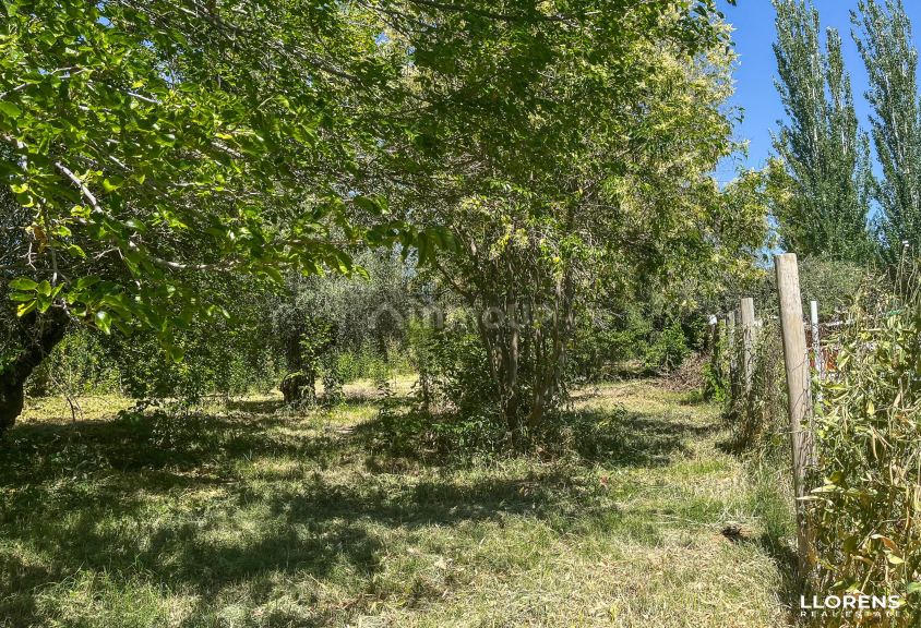 Lote en Venta en Maipu, Mendoza
