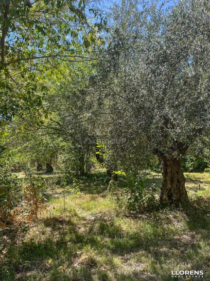 Lote en Venta en Maipu, Mendoza