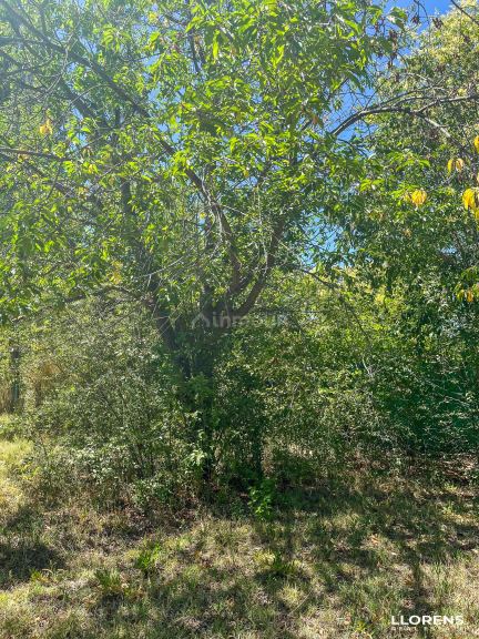 Lote en Venta en Maipu, Mendoza