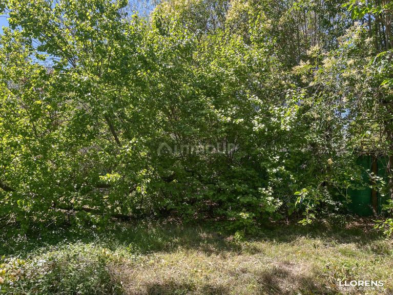 Lote en Venta en Maipu, Mendoza