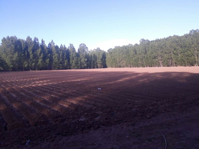Uspallata-Las Heras- Mendoza