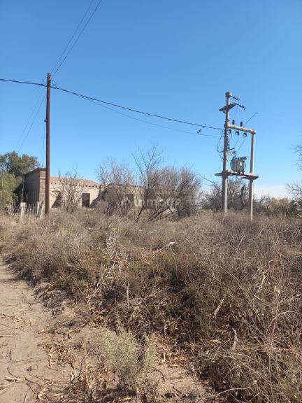 Finca en Venta en San Martin, Mendoza