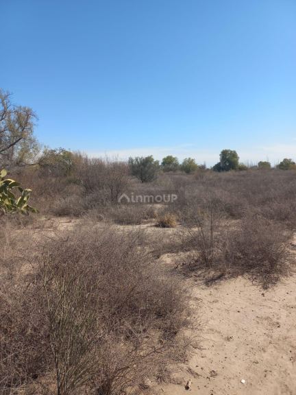 Finca en Venta en San Martin, Mendoza