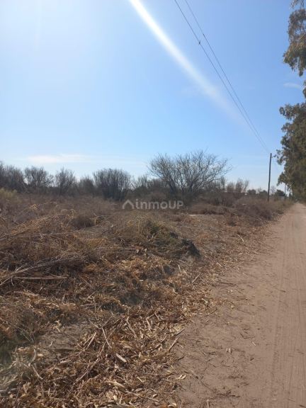 Finca en Venta en San Martin, Mendoza