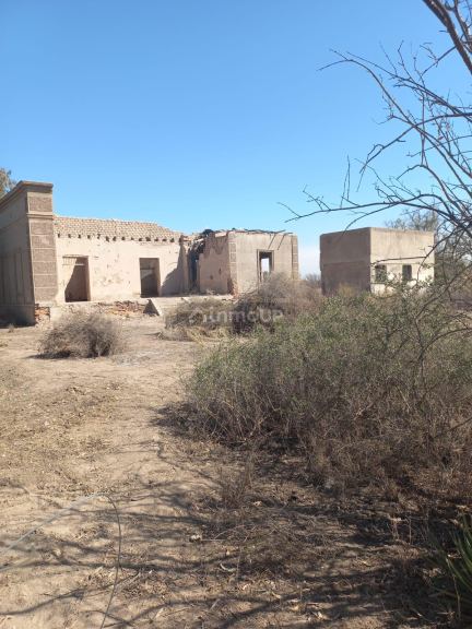 Finca en Venta en San Martin, Mendoza