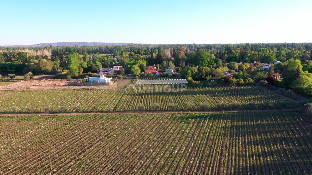 Lote en Venta en Lujan de Cuyo, Mendoza