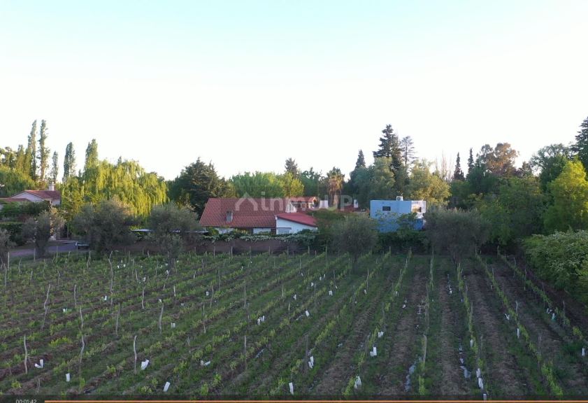 Lote en Venta en Lujan de Cuyo, Mendoza