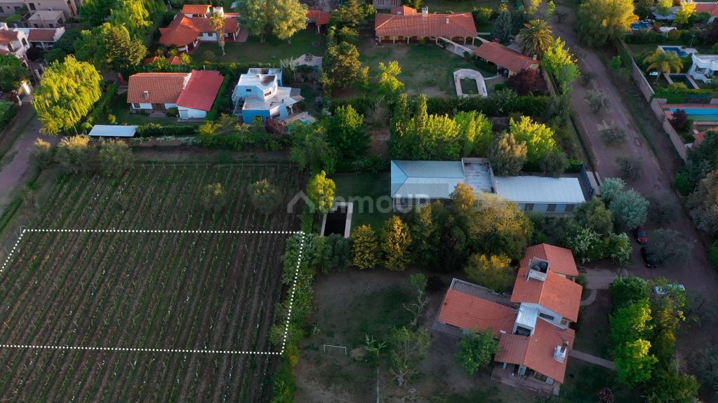 Lote en Venta en Lujan de Cuyo, Mendoza
